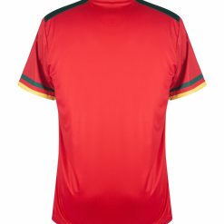 One All Sports Cameroon 2022/23 Men's Third Shirt